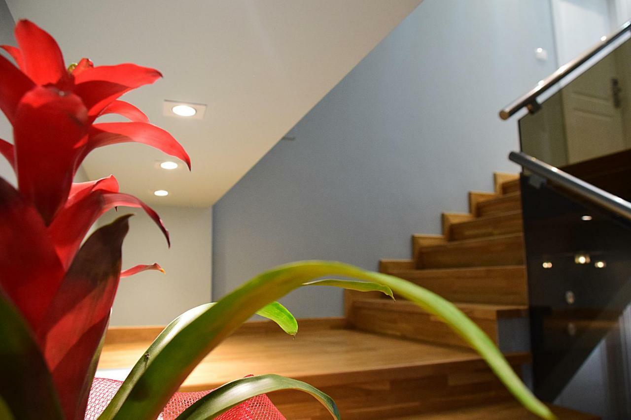 Eagles Philadelphia Bed & Breakfast Korce Bagian luar foto